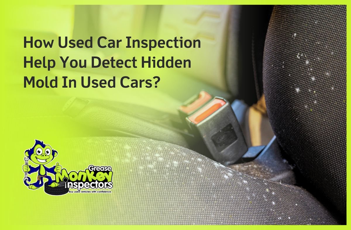 How Used Car Inspection Help You Detect Hidden Mold In Used Cars